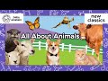 All Creatures Great And Small Compilation Baby Einstein Learning Show For Toddler Kid Cartoons