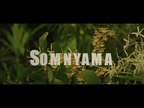DJ Kabila Feat. WendySoni - Somnyama [Official Video]