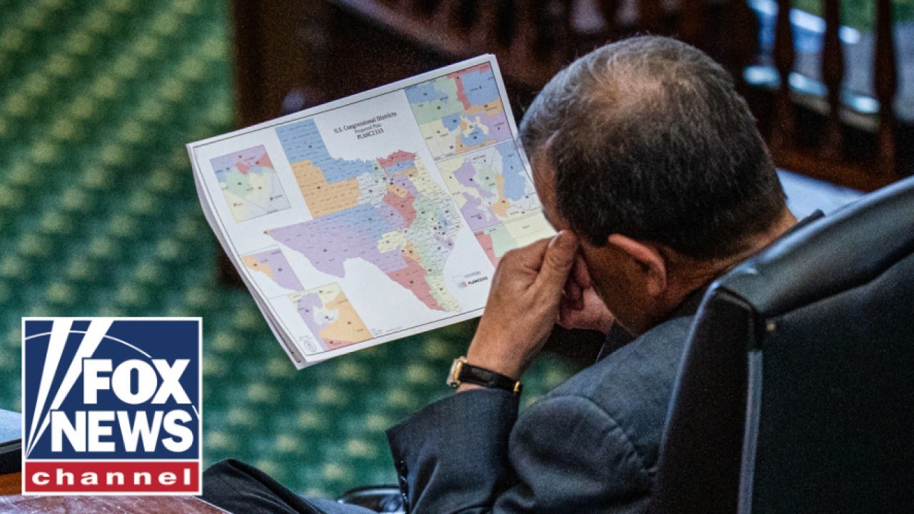 Trump-appointed judge BLOCKS red state redistricting map