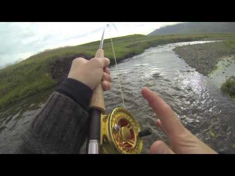 Fly fishing in my little Arctic char river