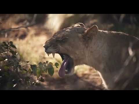 Namibia is Waiting for you 