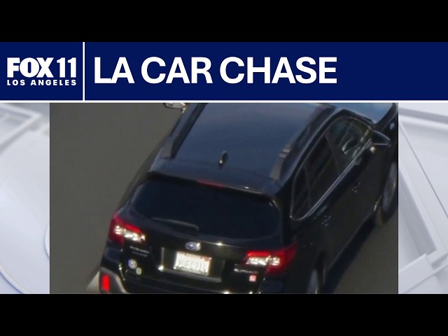 Police chase involving alleged attempted murder suspect