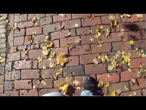 Walking Through Leaves on Chestnut Street in Salem, Massachusetts