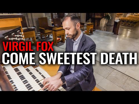 🎵 HUGE Crescendo on UK's Loudest Cathedral Organ // Blackburn Cathedral