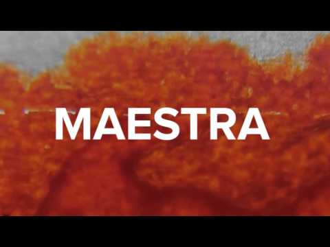 Booktrailer - Maestra, de  L.S. Hilton
