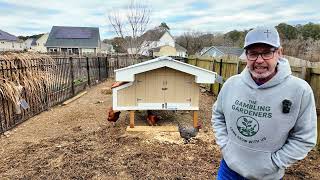 Backyard Chickens Need This: My Coop Build Begins