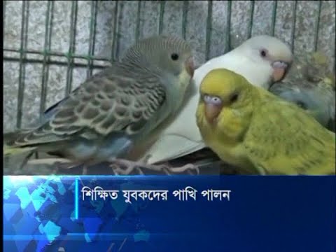 শিক্ষিত যুবকদের পাখি পালন