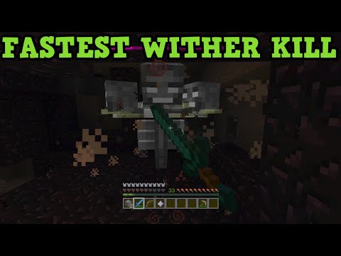 ibxtoycat - Minecraft Xbox 360 + PS3 How To Kill The Wither - IN 5 SECONDS