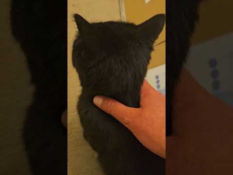 Oisín celebrates his 5th birthday