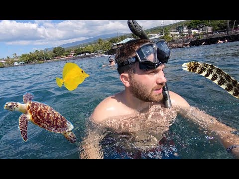 First Time On Tropical Island Swimming in Ocean! Amazing Fish & Sea Turtles | Family Vacation Vlog