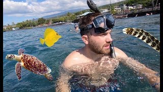 First Time On Tropical Island Swimming in Ocean! Amazing Fish & Sea Turtles | Family Vacation Vlog