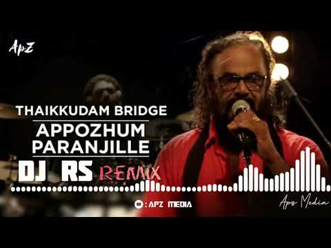 Appozhum Paranjille Remix | DJ Rox | Thaikkudam Bridge | Appozhum Paranhille DJ remix