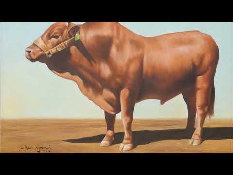 Tswana Traditional Folk Music; Matsieng Diole Mpheregetlha