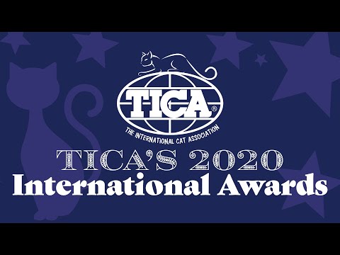 TICA 2020 International Awards
