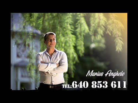 MARIUS ANGHELE - FOIE VERDE FRUNZA DEASA