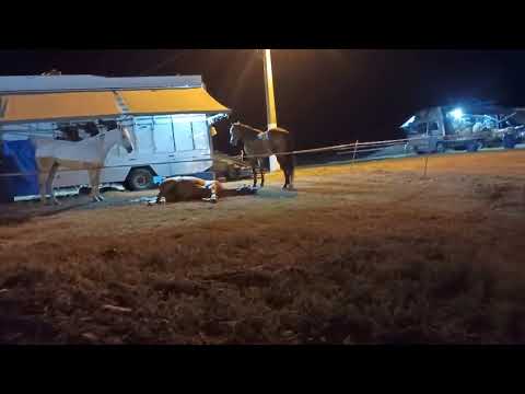 Parque de vaquejada Evanio Higino Campo Grande Alagoas