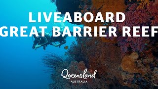 How to do a Great Barrier Reef liveaboard