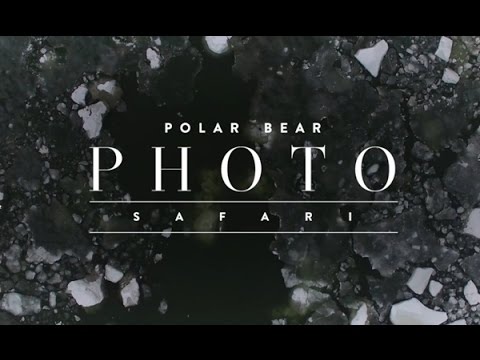 Polar Bear Photo Safari -- Churchill Wild Polar Bear Safaris