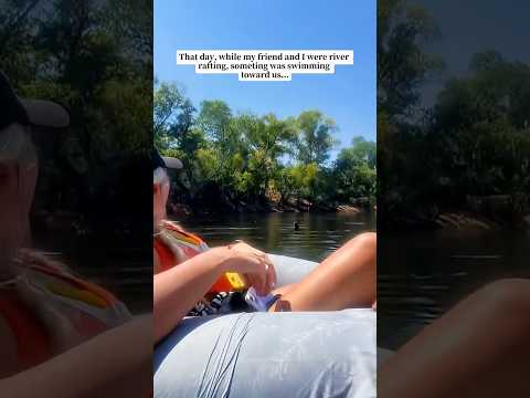 While my friend and I were river rafting,something was swimming toward us…#otter #rescue #fyp #fypシ