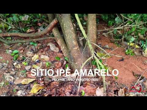 Chuva de Granizo em Papagaios - Minas Gerais