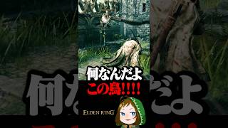 城にいる鳥にボッコボコにされてしまう  #配信切り抜き #eldenring