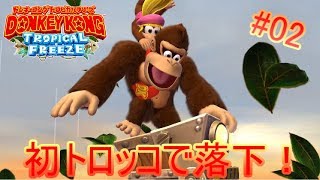 ボス戦よりトロッコのほうが難しい※死亡ダイジェストあり。【ドンキーコングトロピカルフリーズ】