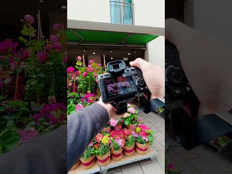 Painting with my&hellip; Camera??