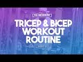 Full Arm Workout (Part 3) | Triceps & Biceps Workout Routine
