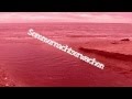 Viktor Quentes 2217 Sommernachtserwachen