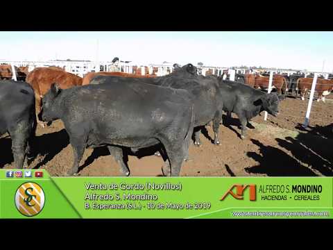 10-05-19 - Venta de Gordo - Alfredo S. Mondino - B. Esperanza (S.L.)