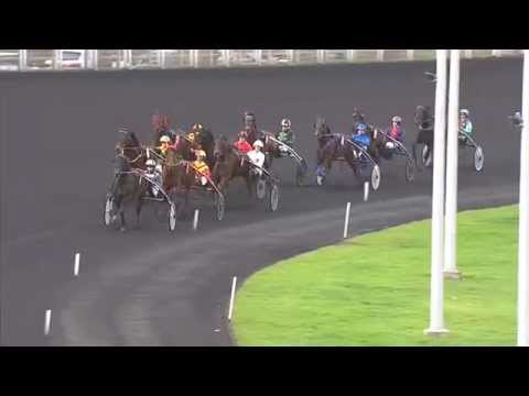 Vabellino - PRIX DE BELGIQUE - 11 Janvier 2015