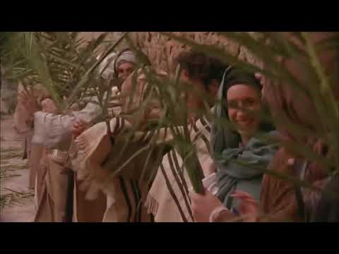 Entrada de Jesús en Jerusalén