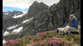 &quot;Going High!&quot;  Part IV (Poet in My Window)