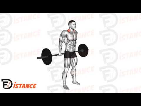 Exercice Shrugs à la barre derrière le dos