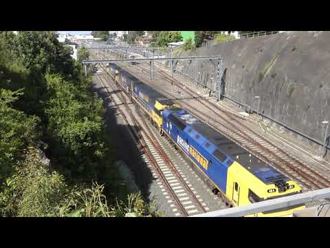 NR118 / NR102 / NR96 / AN4 with PN 2BM4 - 15/2/22