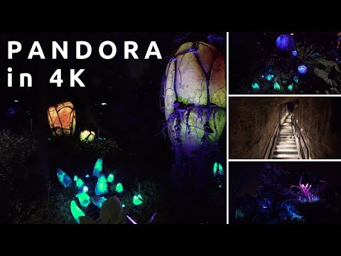 Animal Kingdom's Pandora at night in 4k