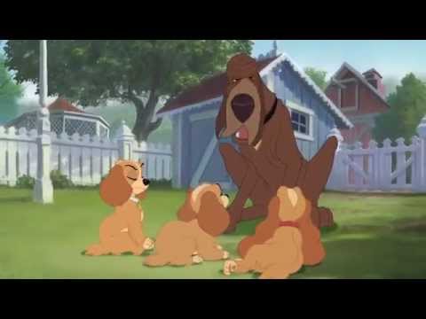 Lady and the Tramp II Scamps Adventure   Search Team