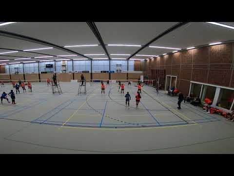 Seesing Flex | Longa'59 D1 - AVIOR D1