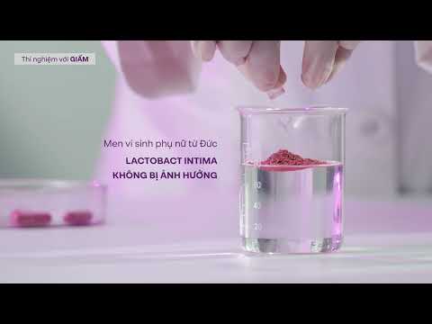 [2D/3D Animation] Lactobact Intima: Thí nghiệm men vi sinh