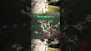 【黒い砂漠】狩りの最中に溺れるシャイ #Shorts
