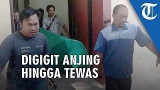 Anjing yang Gigit ART di Cilangkap hingga Tewas Sudah Gigit 10 Warga