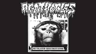 Agathocles - Mutilated Regurgitator (2020) [FULL ALBUM STREAM HD]