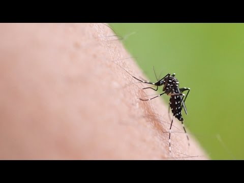 Trattamento Heviz delle articolazioni Dolore nella parte destra delladdome inferiore in vita dà