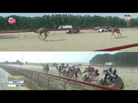 ش 11 (تغيير) لـ هجن الشحانية 12:28:48 ، ختامي المرموم 2026/03/29 حول زمول