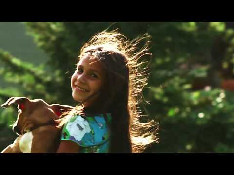 Walkthrough Walkthrough