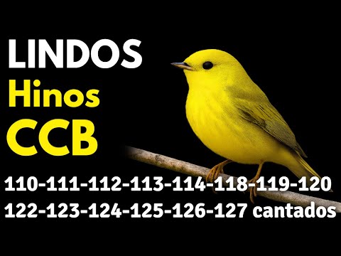 HINOS CCB 110-111-112-113-114-118-119-120-122-123-124-125-126-127-170-171-173-174-175-176 cantados
