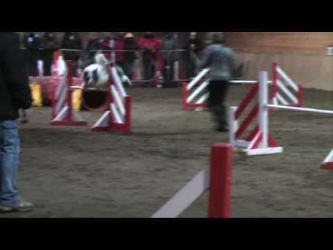 Blue Eyes Jumping Tichemont 08 02 09