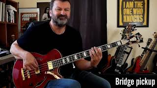 Video thumbnail for D'Angelico Excel Bass test by BASSISTIK