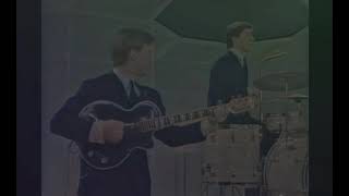 the searchers - needles and pins (Color)