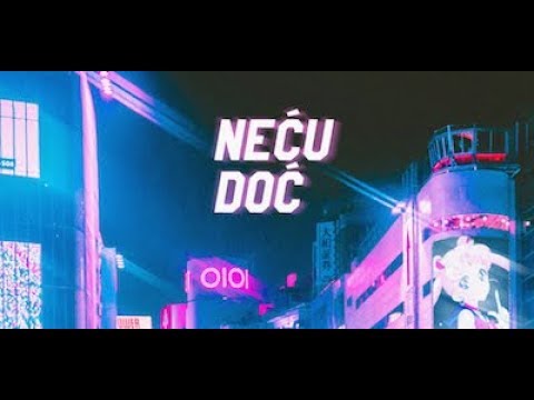Goca R.I.P. x Elon - Neću Doć (Lyrics Video)